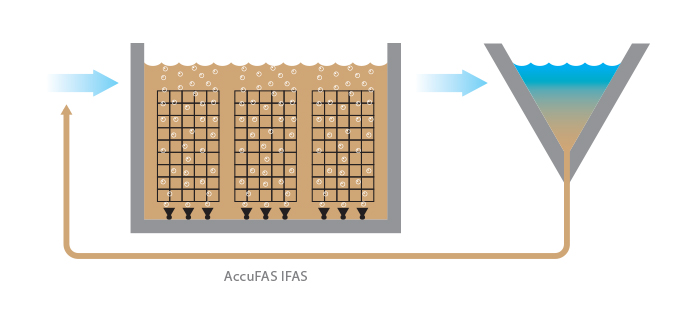 Biological Wastewater Treatment